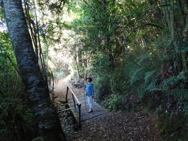 Experiences - Foto 2