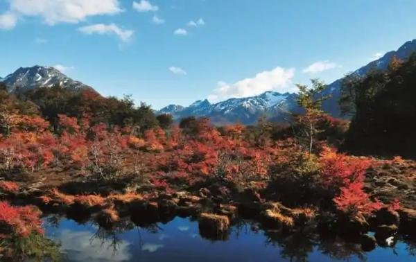 Experiences - Foto 3