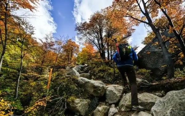 Experiences - Foto 5