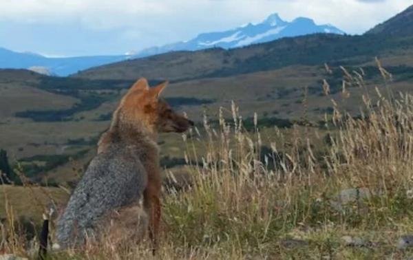 Experiences - Foto 6