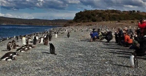 Experiences - Foto 3