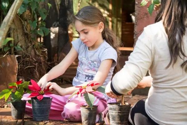 Experiences - Foto 3