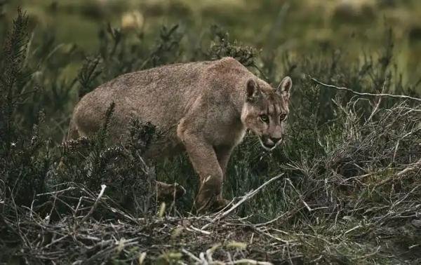 Experiences - Foto 2