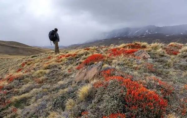 Experiences - Foto 3