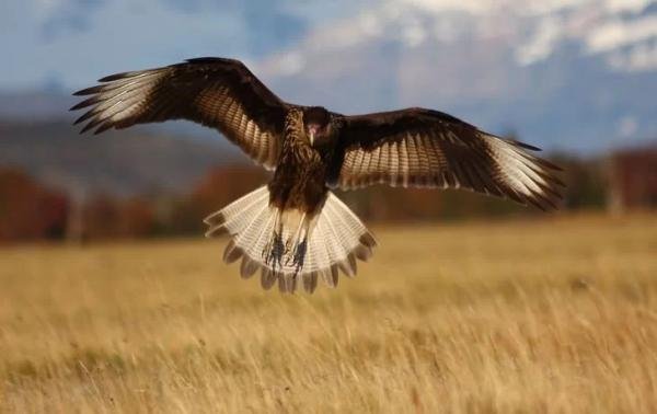 Experiences - Foto 6