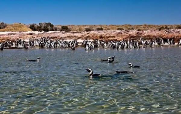 Experiences - Foto 3