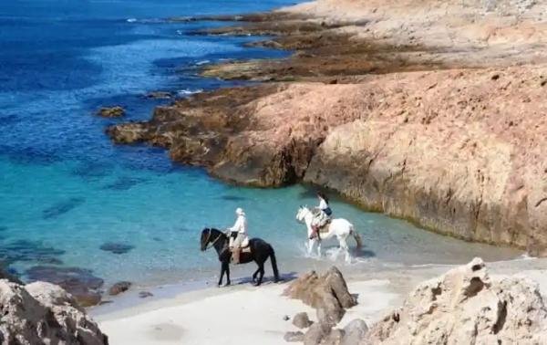 Experiences - Foto 6