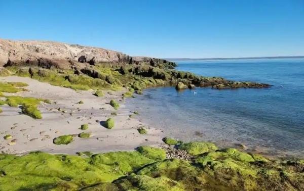 Spa & Relax - Foto 2