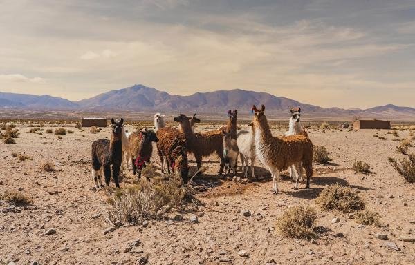 Experiences - Foto 3