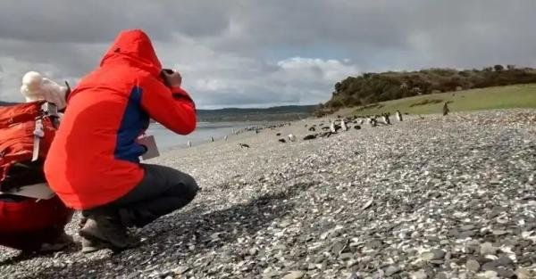 Experiences - Foto 3