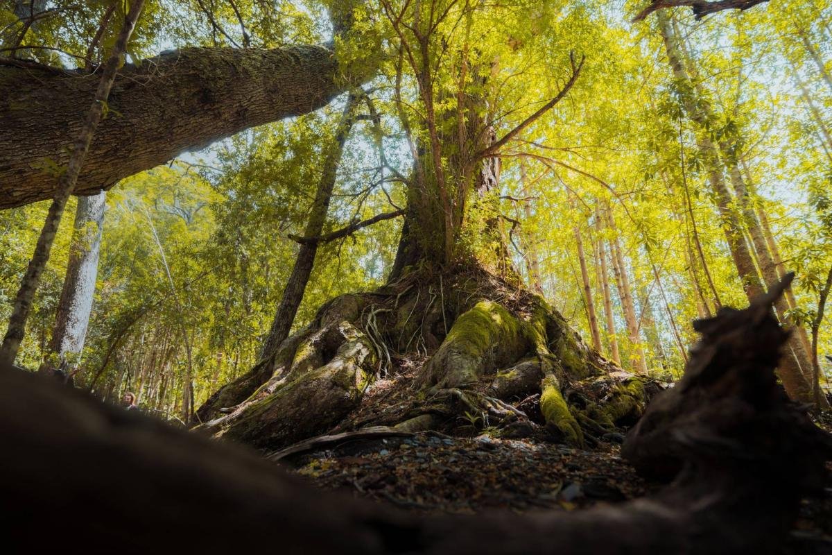 Mayo Spirit Trek  - Image 11