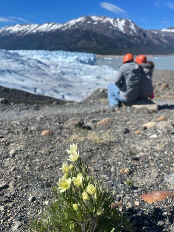 Minitrekking 2: Perito Moreno Glacier Ice Trek  - Image 7
