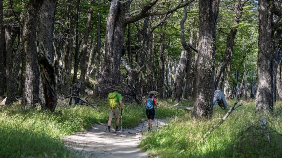 Laguna Torre Trek El Chalten - Image 2