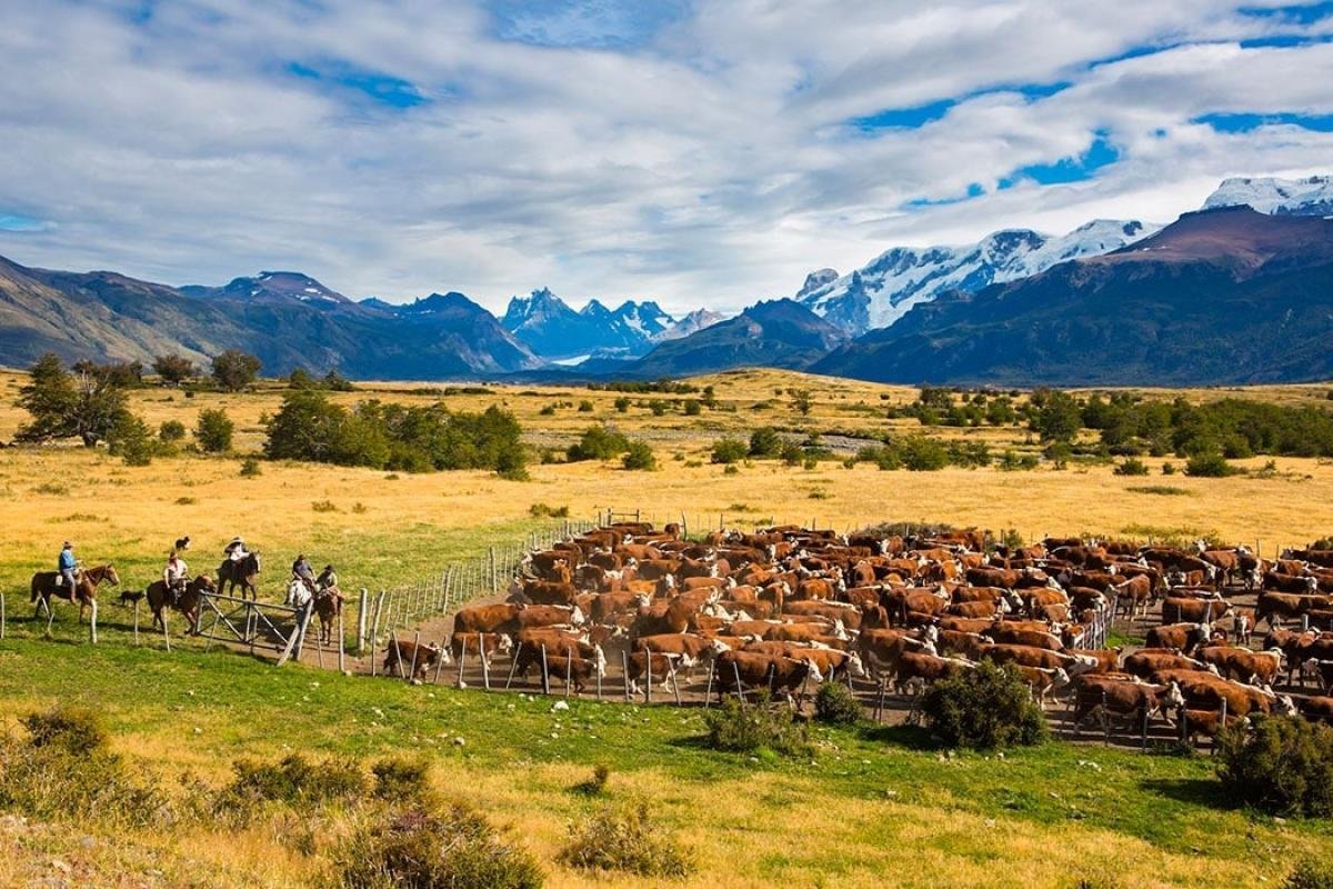 Country Day Estancia Nibepo Aike  - Image 4