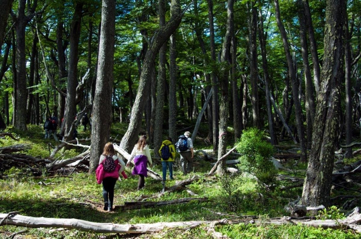 Glaciar  Sur Aventura  - Image 1