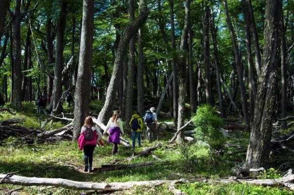 Glaciar  Sur Aventura 