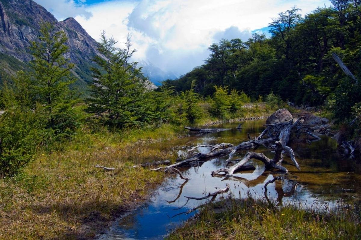 Glaciar  Sur Aventura  - Image 2