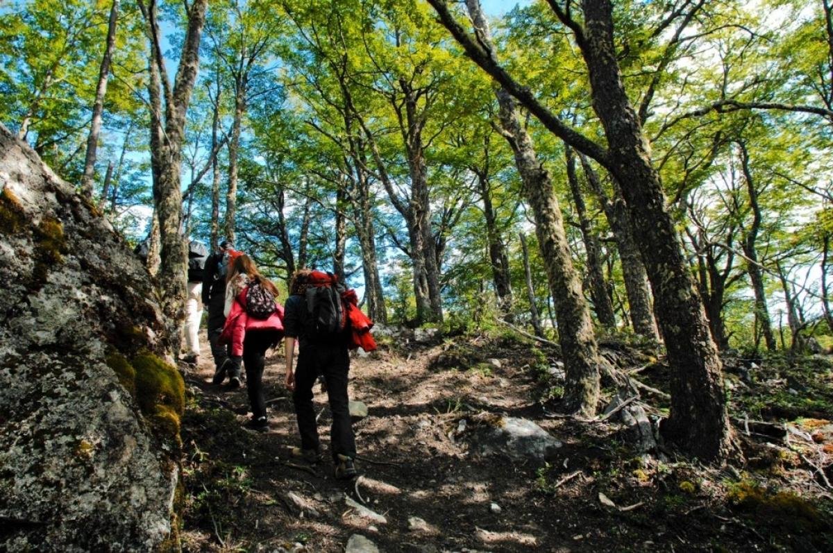 Glaciar  Sur Aventura  - Image 3