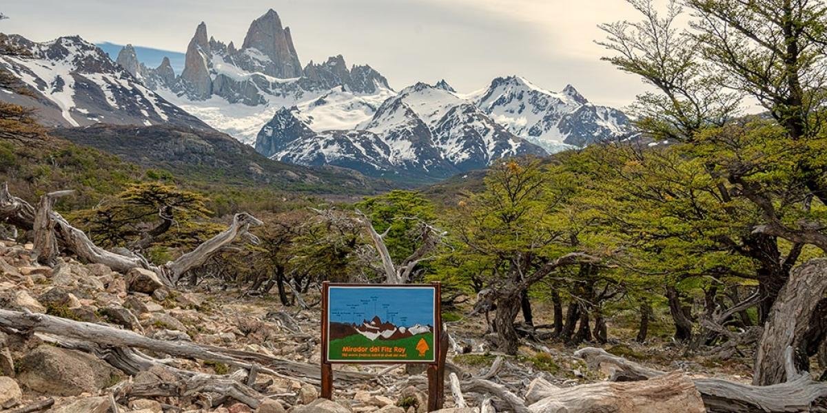 Laguna Capri Trek El Chalten - Image 3
