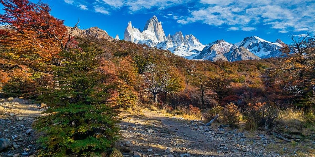 Laguna Capri Trek El Chalten - Image 5