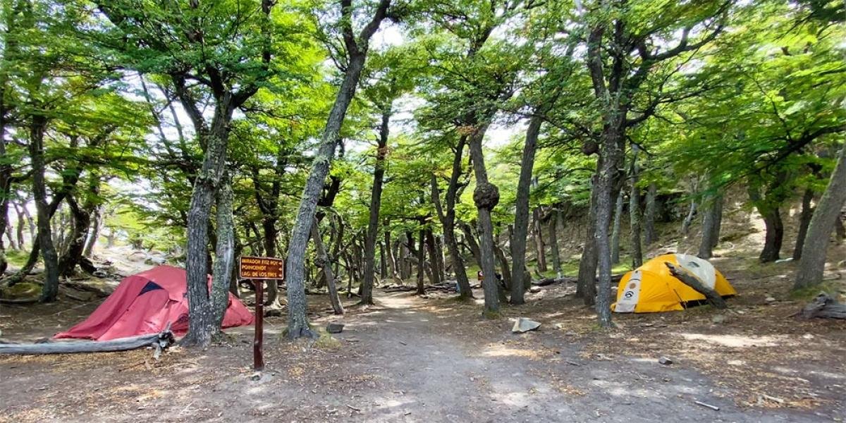 Laguna Capri Trek El Chalten - Image 7