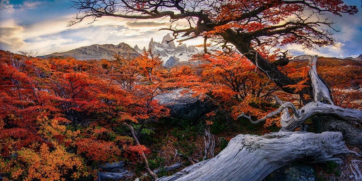 Laguna Capri Trek El Chalten - Image 8