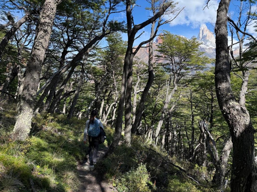 Los Huemules Reserve Laguna Azul El Chalten - Image 3