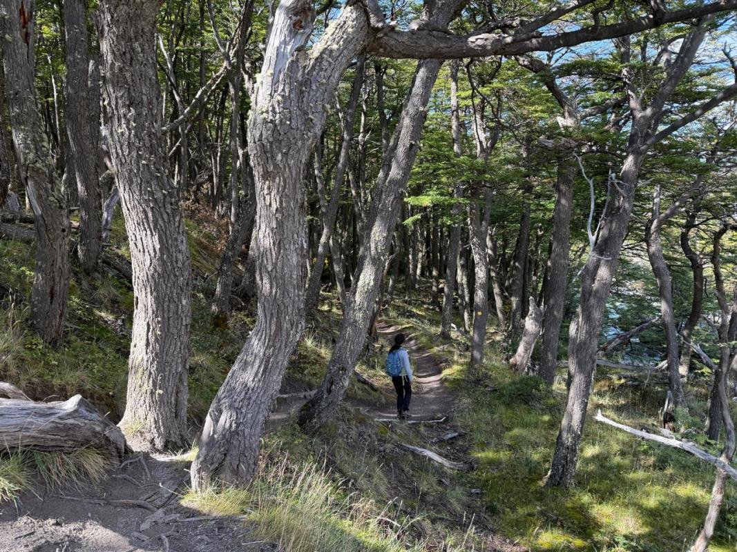 Los Huemules Reserve Laguna Azul El Chalten - Image 6