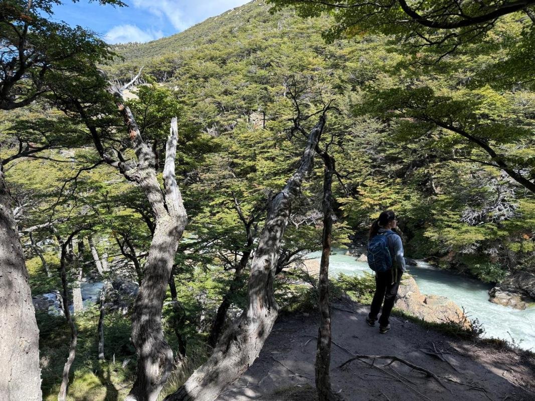 Los Huemules Reserve Laguna Azul El Chalten - Image 8