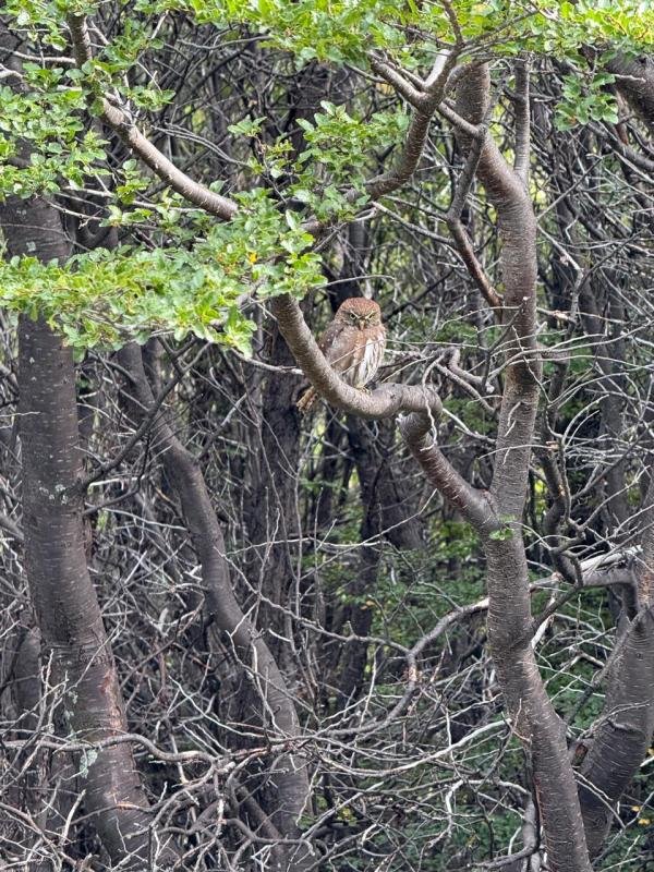 Los Huemules Reserve Laguna Azul El Chalten - Image 13