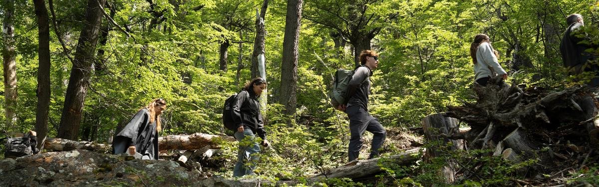 Cerro Castillo Full Day El Calafate 