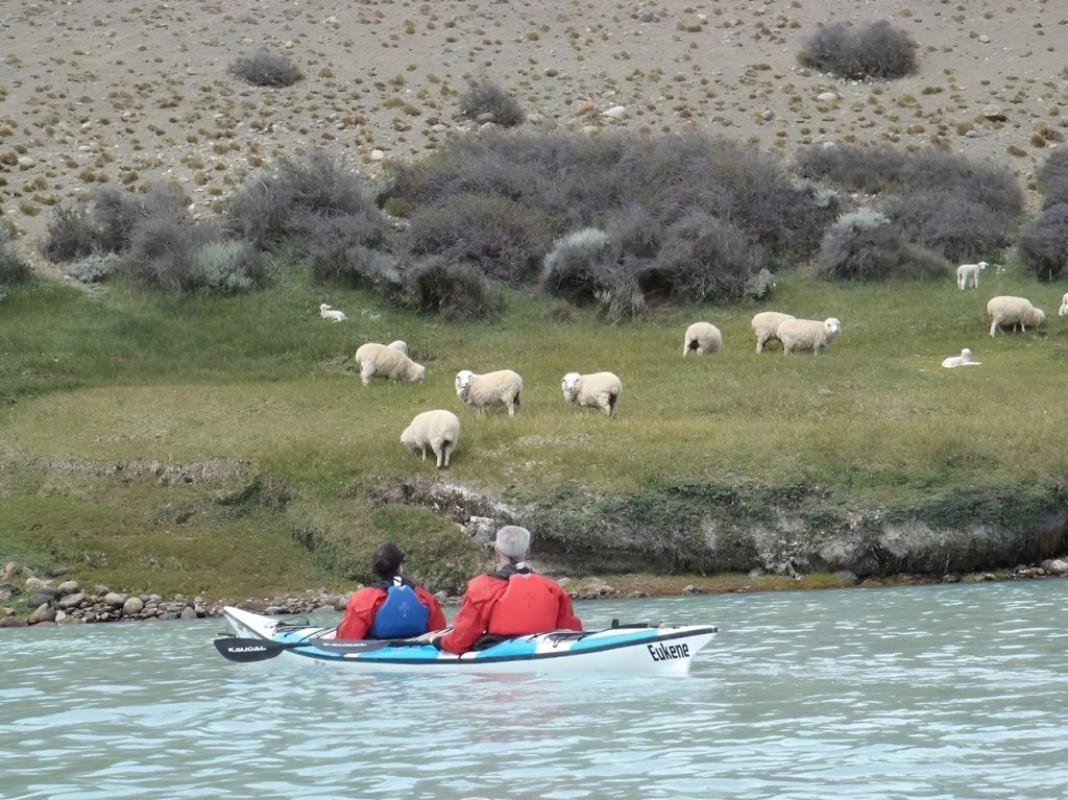 Darwin Experience El Calafate  - Image 12