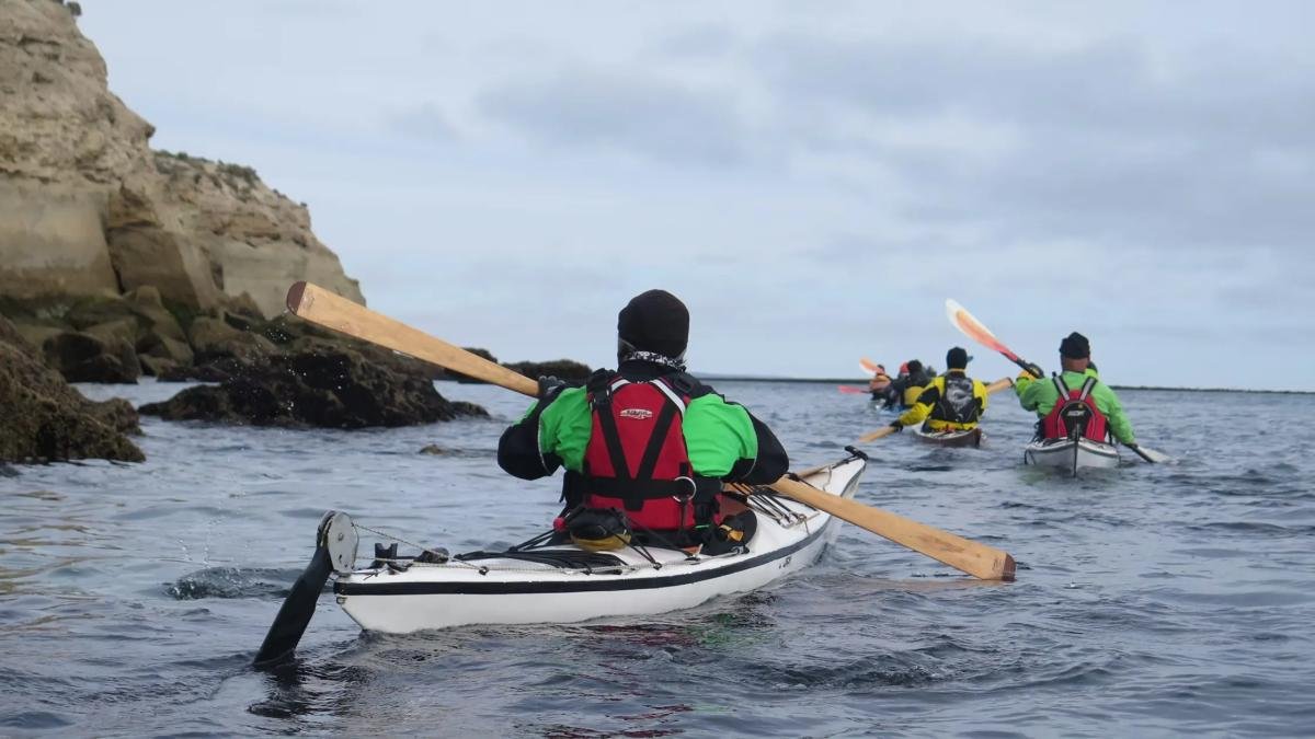 Kayaking & Whales Adventure in Golfo San José – Villarino to Bahía Encantada  - Image 5