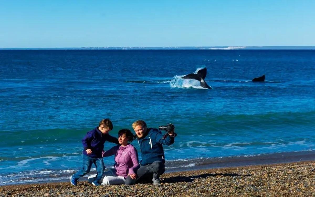 Whale Watching at El Doradillo Beach - Image 10