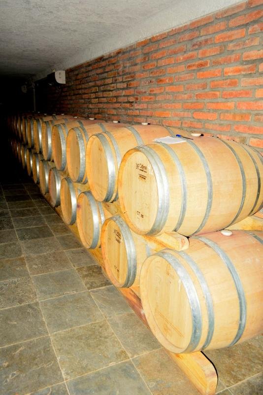 Cafayate Wine Tour  - Image 15