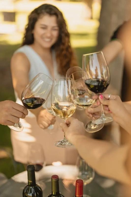 Mendoza Wine & Olive Experience - Image 3