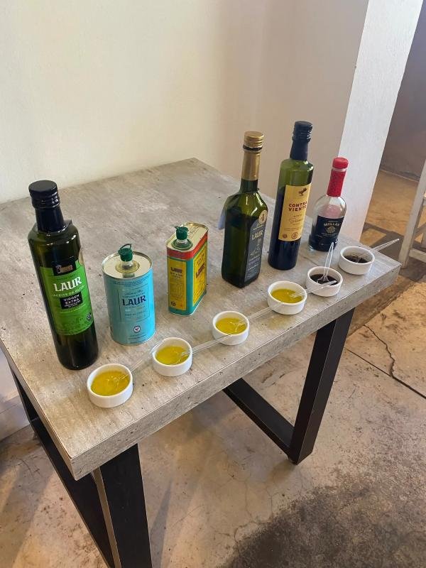 Mendoza Wine & Olive Experience - Image 4