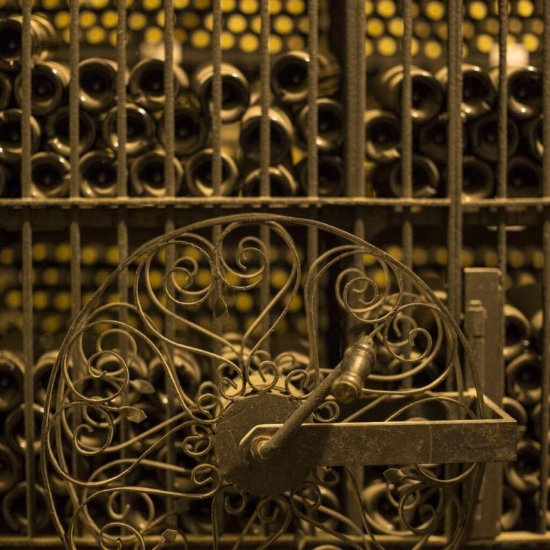 Mendoza Wine & Olive Experience - Image 15