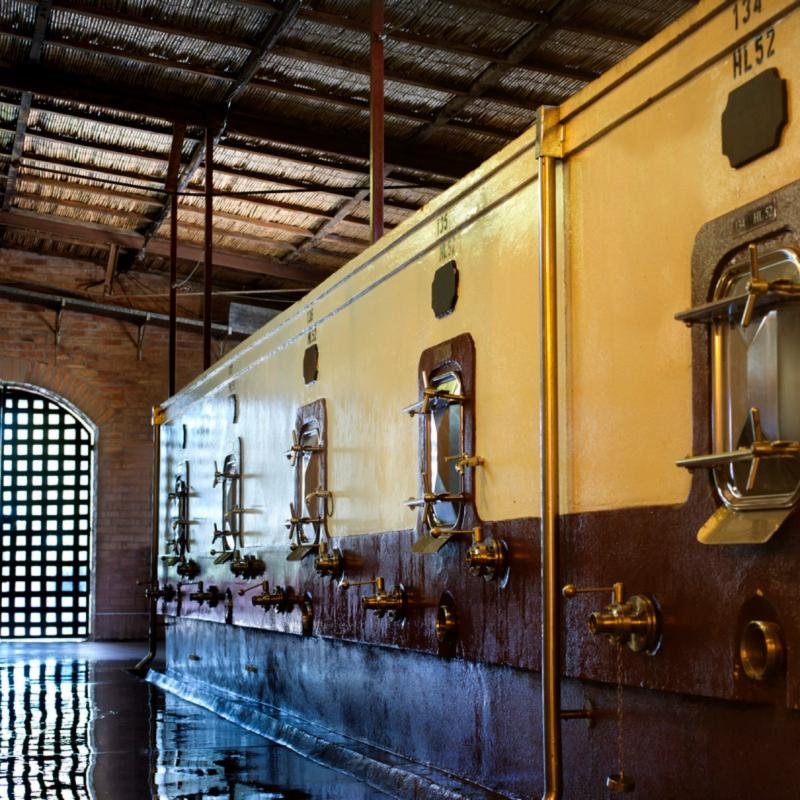 Mendoza Wine & Olive Experience - Image 16