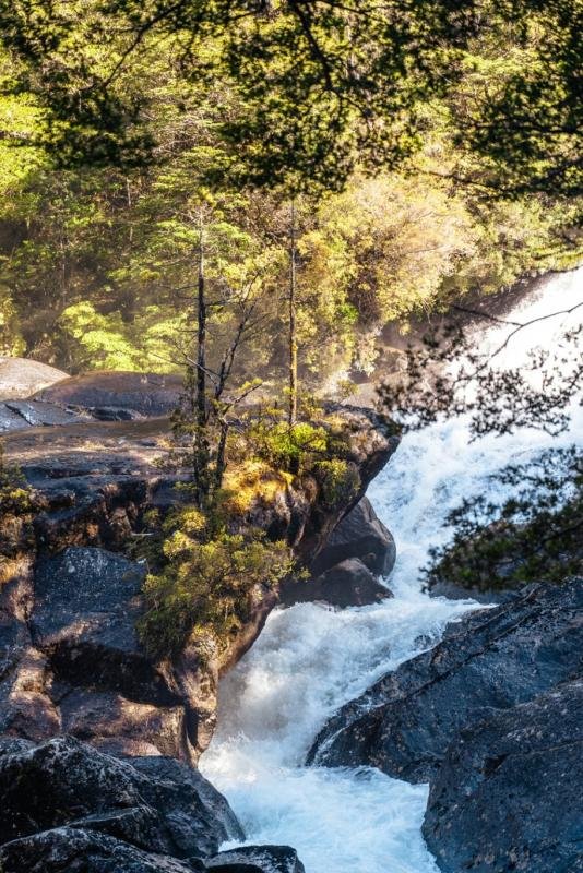 Puerto Blest and Los Cántaros Waterfall Bariloche - Image 13
