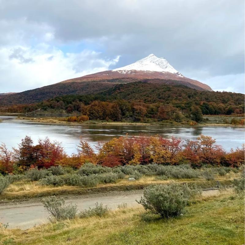 Tierra del Fuego National Park Ushuaia - Image 14
