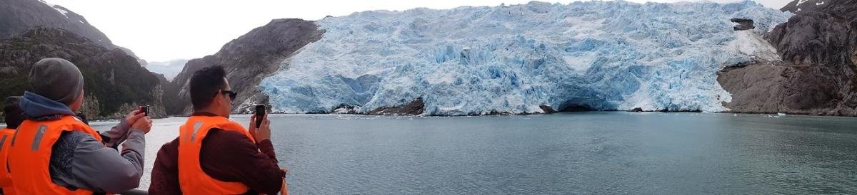 Full Day Whales & Glaciers Punta Arenas  - Image 18