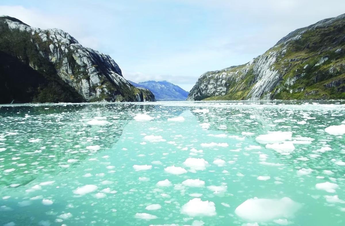 Full Day Whales & Glaciers Punta Arenas  - Image 9
