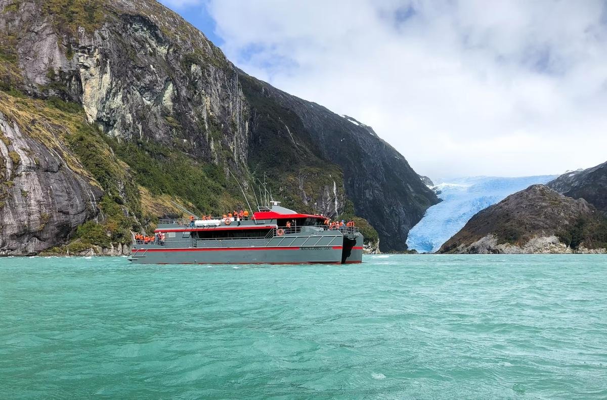 Full Day Whales & Glaciers Punta Arenas  - Image 16