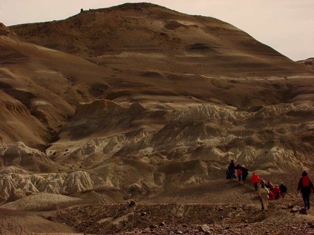 La Leona Petrified Forest - Image 3