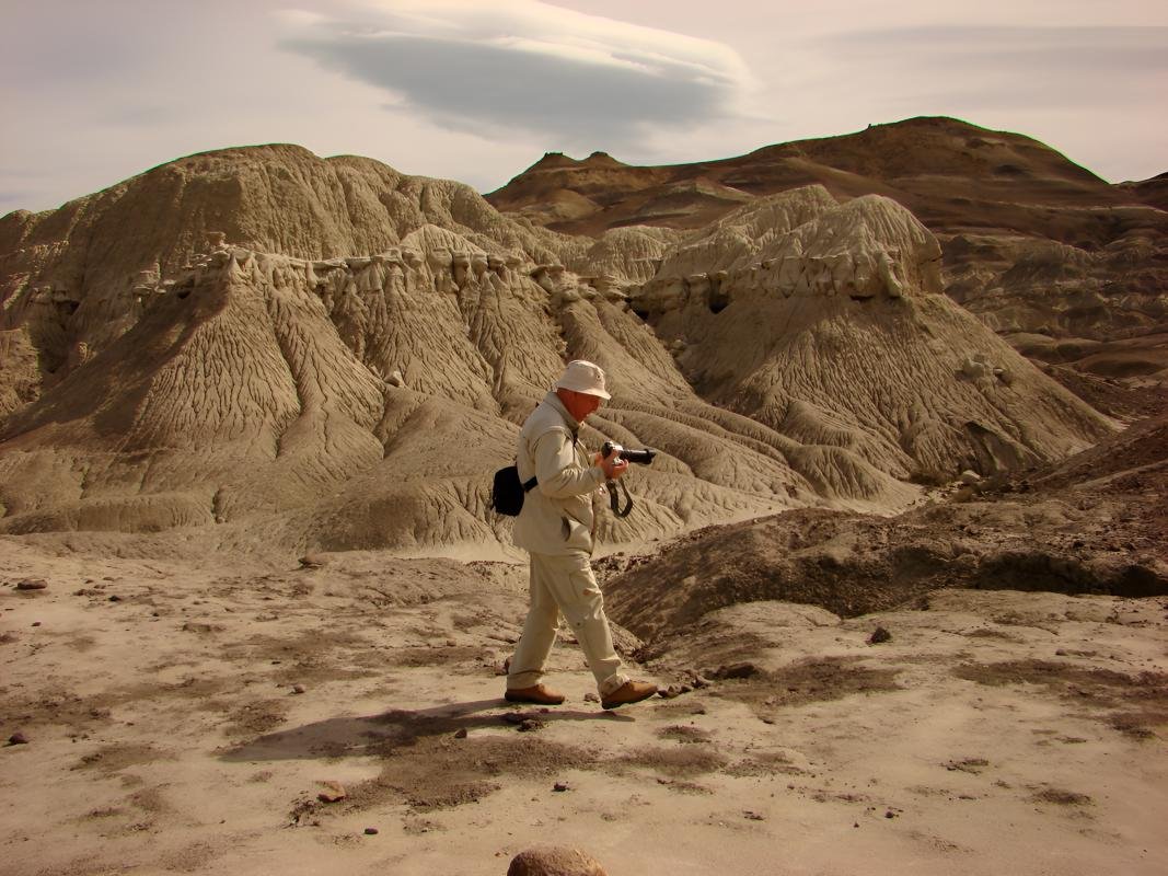 La Leona Petrified Forest - Image 4