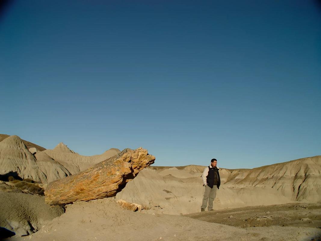La Leona Petrified Forest - Image 6