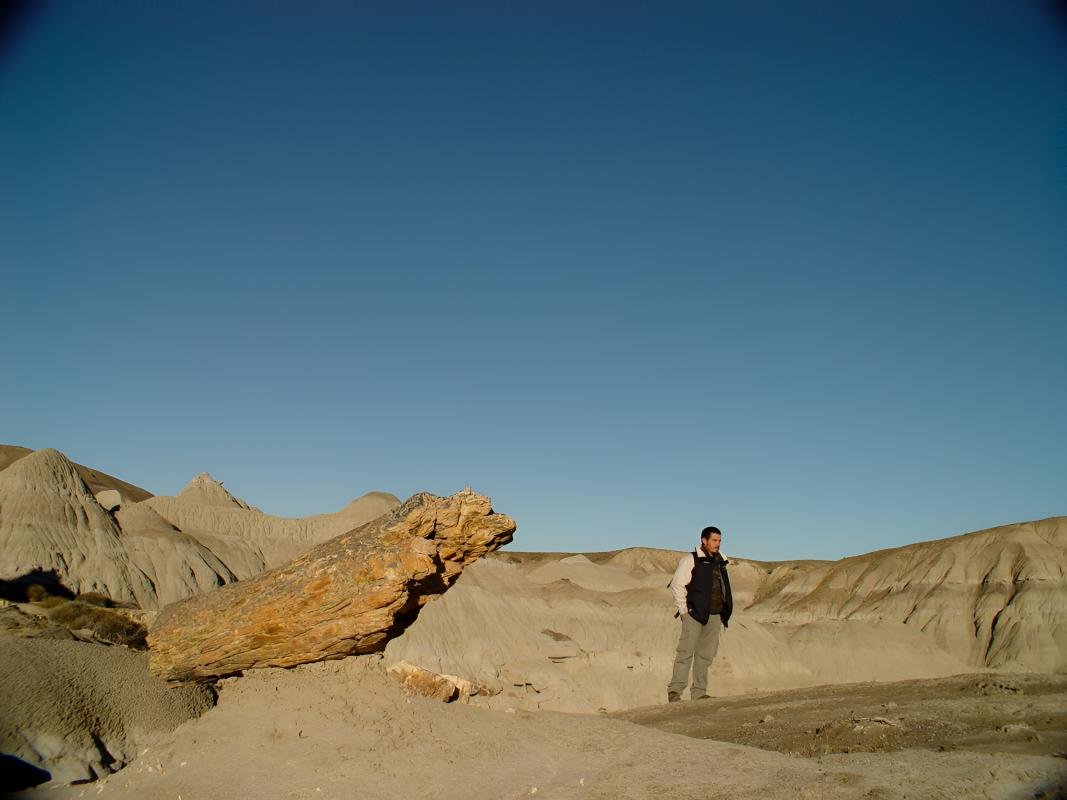 La Leona Petrified Forest - Image 15