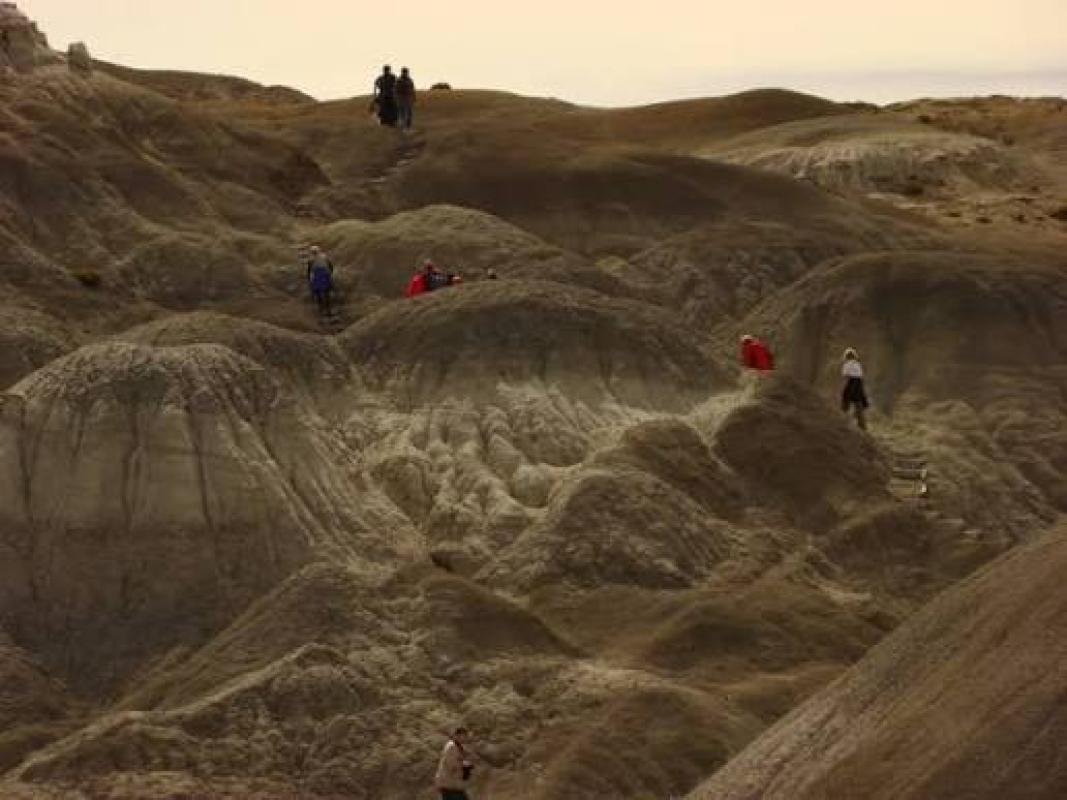 La Leona Petrified Forest - Image 16