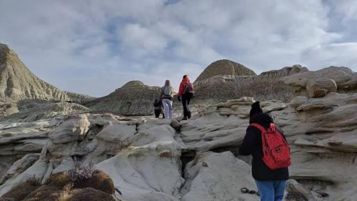 La Leona Petrified Forest - Image 18